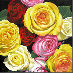 Mixed Roses - Nance Danforth Paintings
